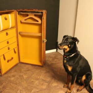 Malle Louis Vuitton wardrobe