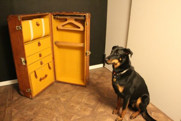 Malle Louis Vuitton wardrobe