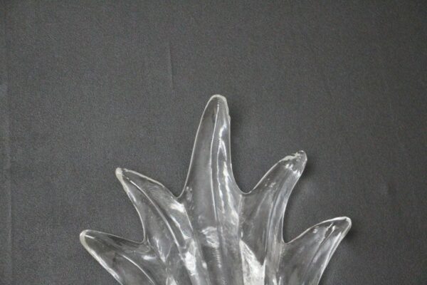 appliques en verre de Murano en forme de feuille