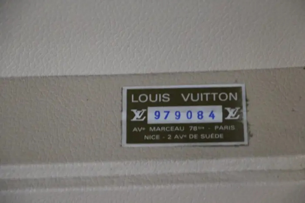 Valise Louis Vuitton modèle Alzer 70