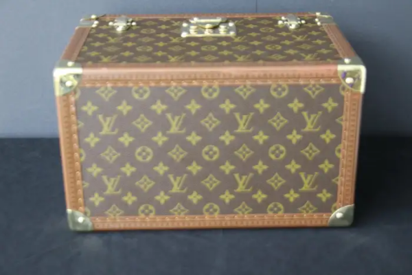 beauty case louis vuitton