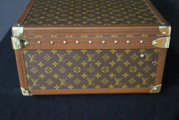 petite valise Louis Vuitton Alzer