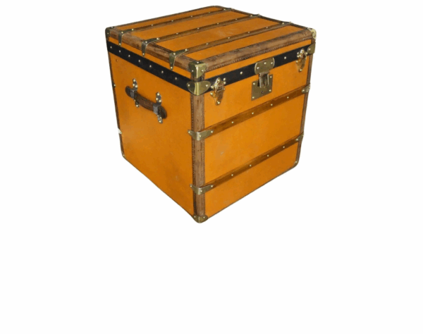 rare Malle Moynat à Chapeaux
