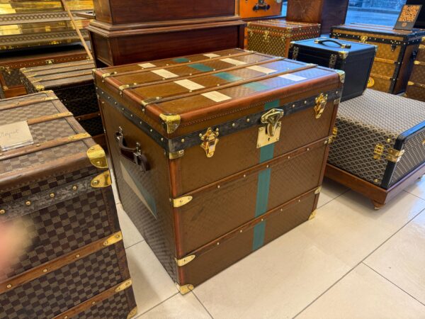 Malle Moynat élégante